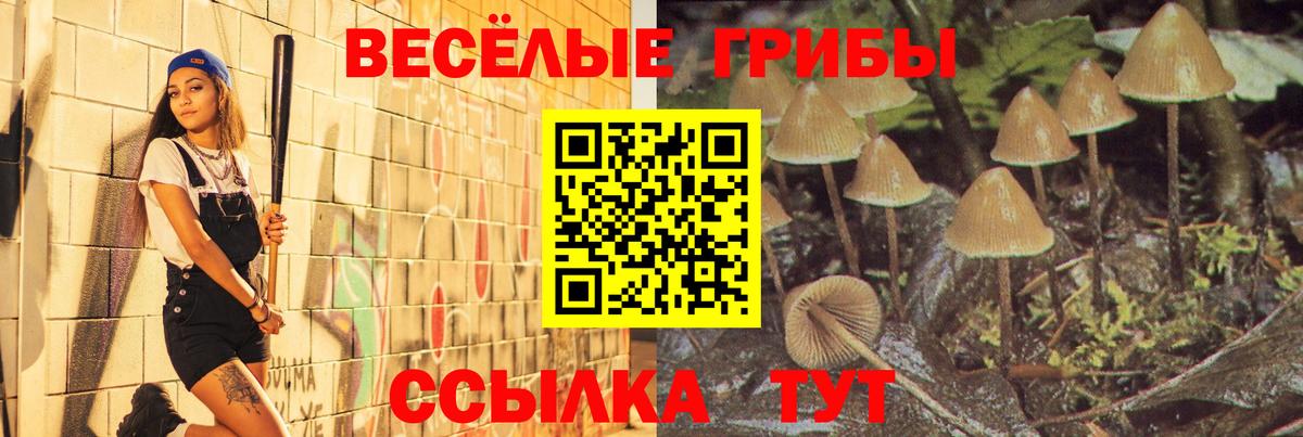 Галлюциногенные грибы MAGIC MUSHROOMS Верхняя Салда