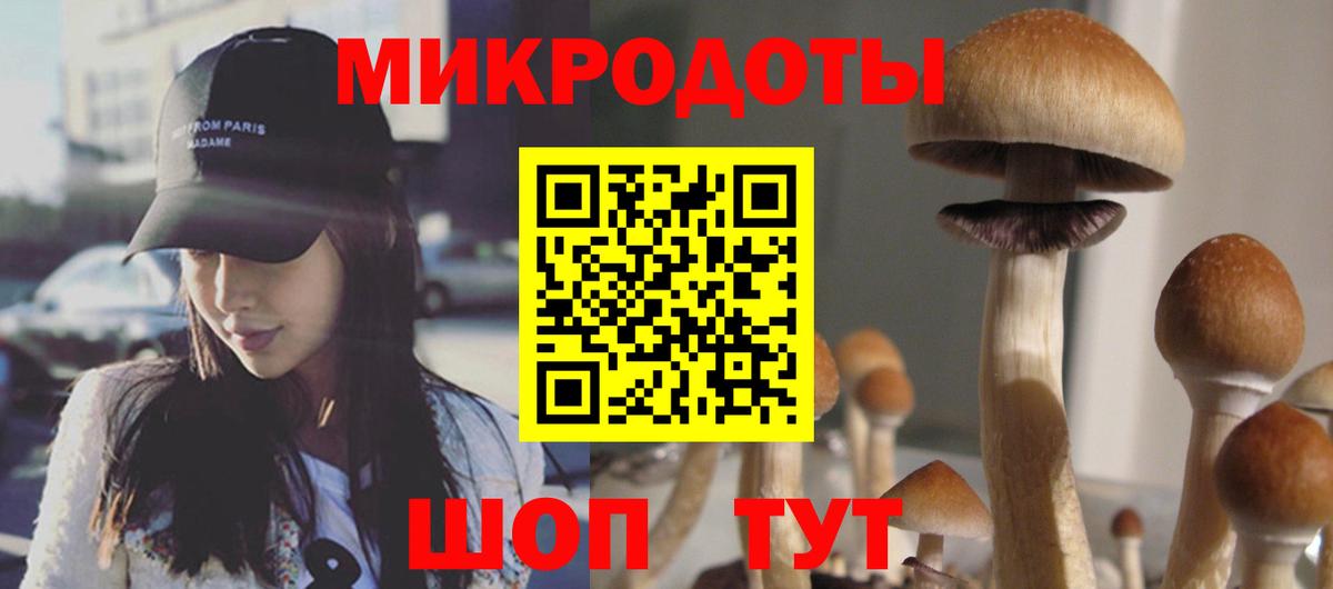 Галлюциногенные грибы Cubensis  Псилоцибиновые грибы MAGIC MUSHROOMS  Вход с VPN  Верхняя Салда 